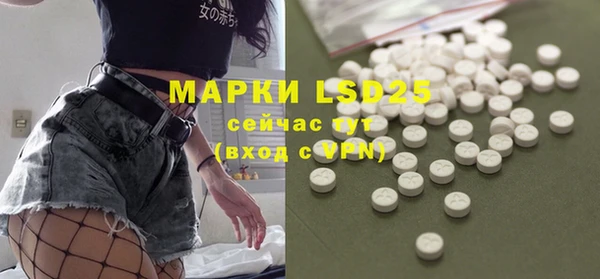 ПСИЛОЦИБИНОВЫЕ ГРИБЫ Алексеевка
