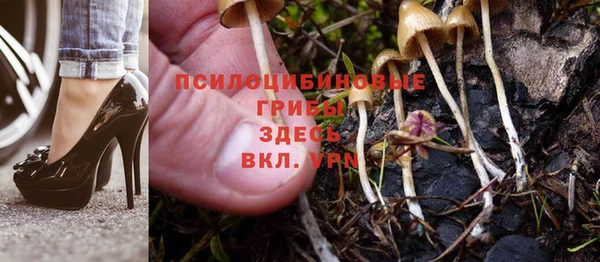 Альфа ПВП Алзамай