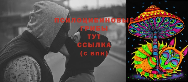 Альфа ПВП Алзамай